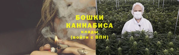 Альфа ПВП Горнозаводск