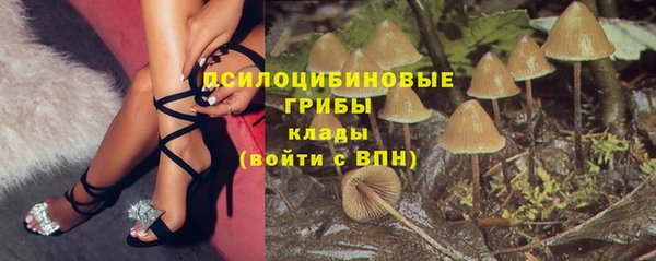Альфа ПВП Горнозаводск