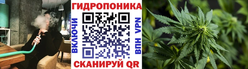 Бошки марихуана THC 21%  где можно купить наркотик  Новоульяновск 